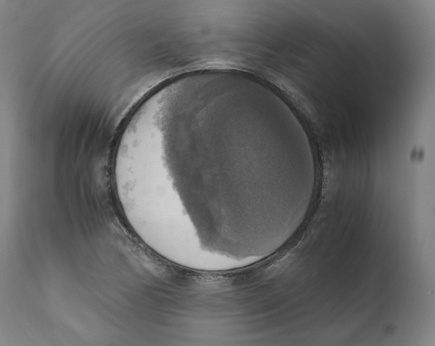 X0000110711170200907101237