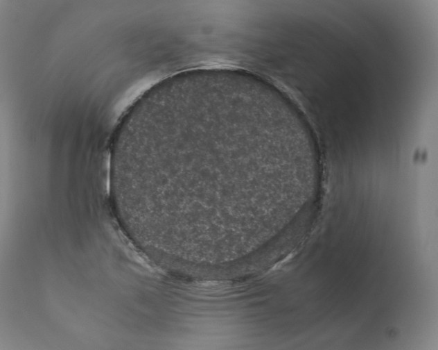 X0000110711171200907101237