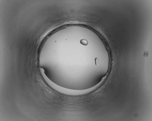 X0000110711173200907101237