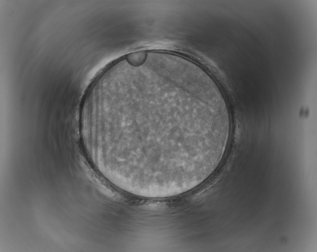 X0000110711174200907101237