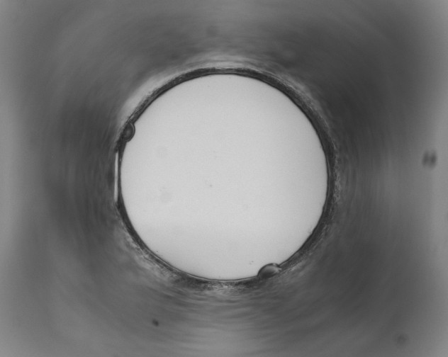 X0000110711175200907101237