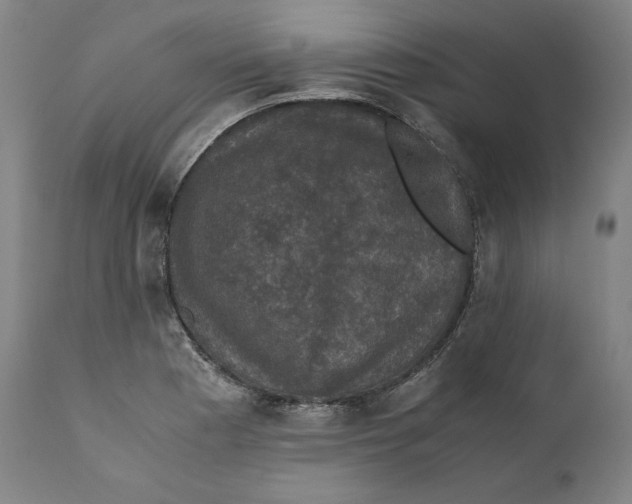 X0000110711177200907101237