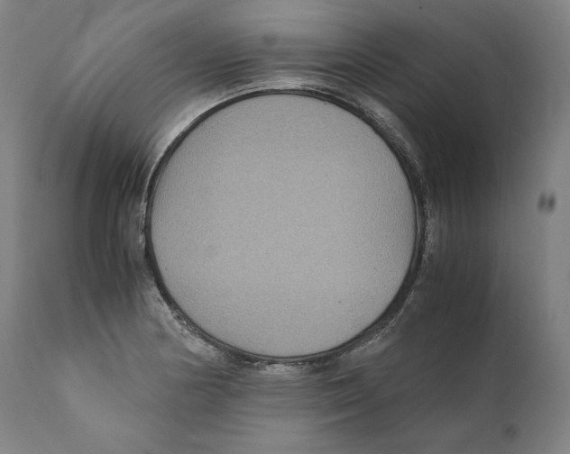 X0000110711178200907101237