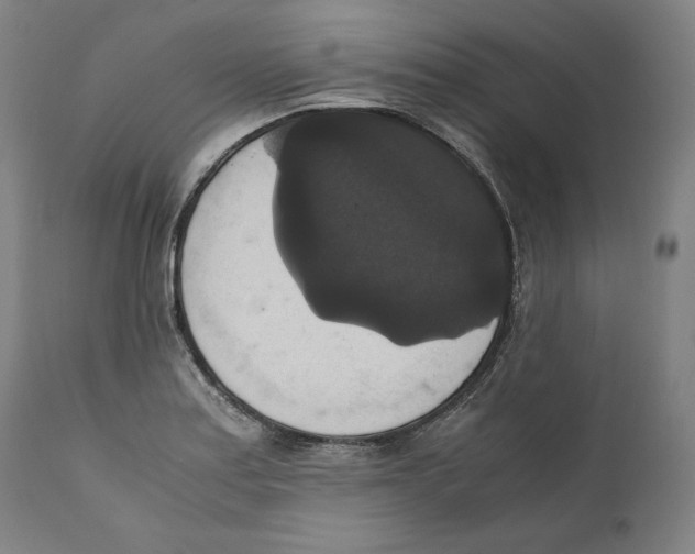 X0000110711179200907101237