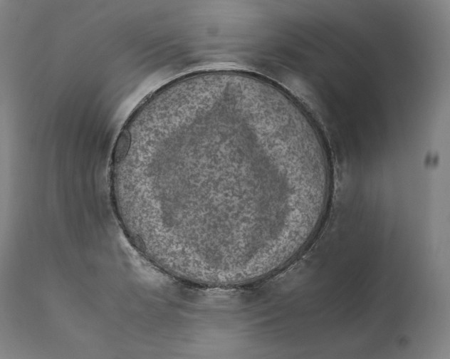 X0000110711181200907101237