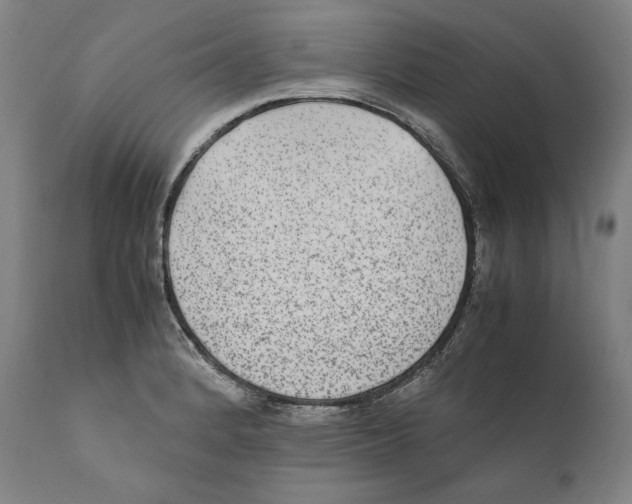 X0000110711184200907101237