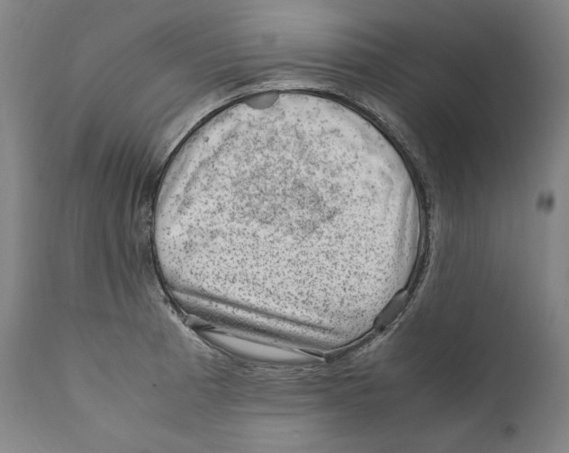 X0000110711185200907101237