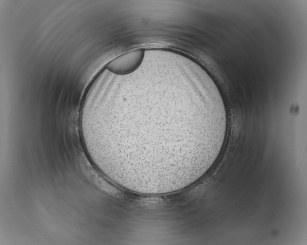 X0000110711186200907101237