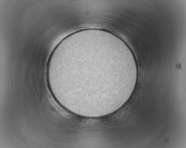 X0000110711187200907101237