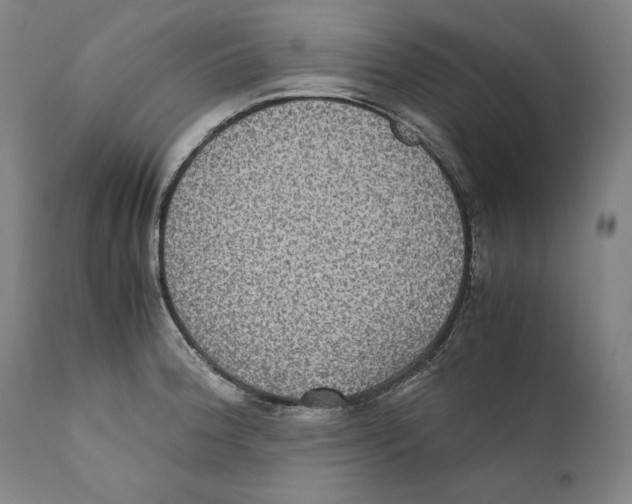 X0000110711188200907101237