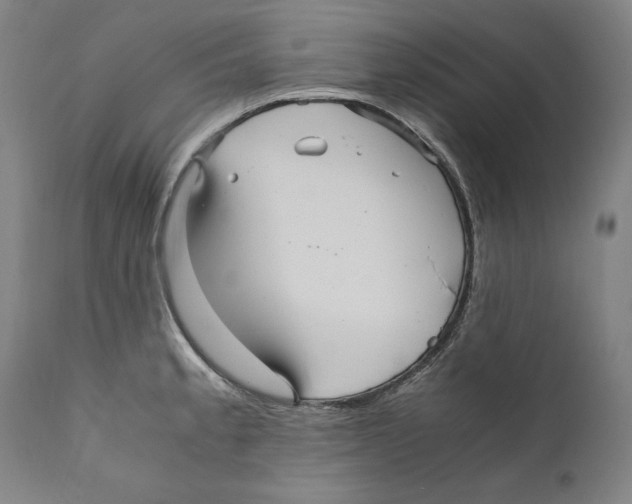 X0000110711189200907101237