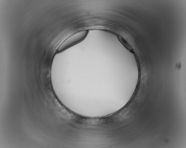 X0000110711193200907101237