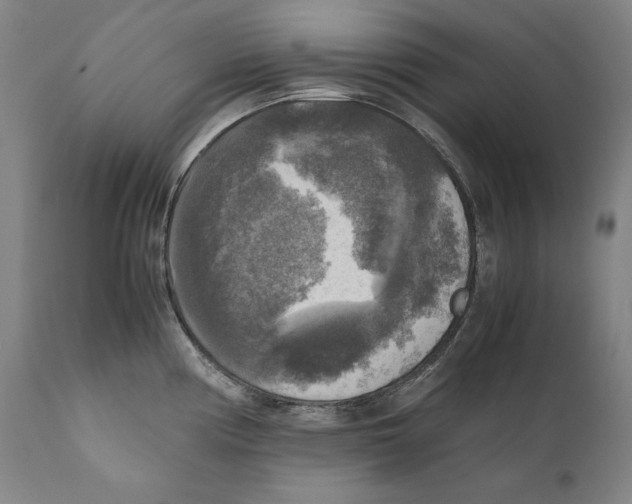 X0000110711194200907101237