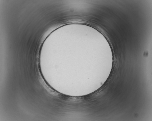 X0000110711195200907101237