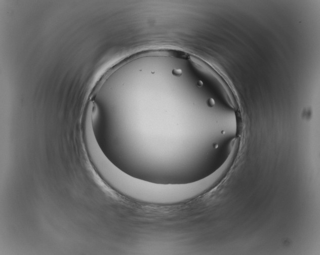 X0000110711197200907101237