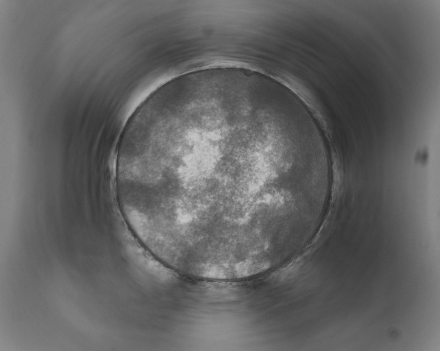 X0000110711198200907101237