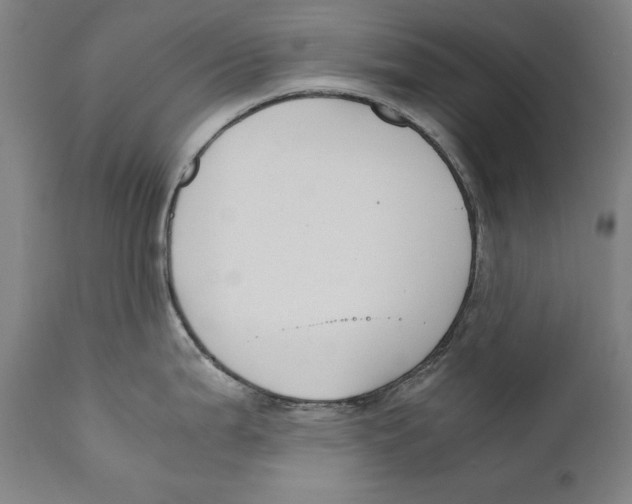 X0000110711199200907101237