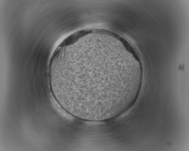 X0000110711200200907101237