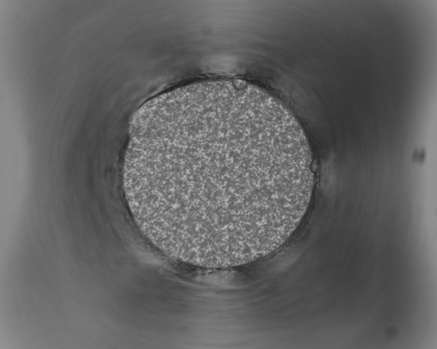 X0000110711201200907101236