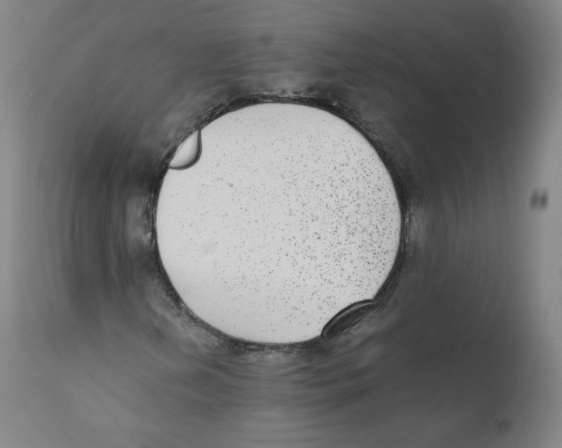 X0000110711202200907101236