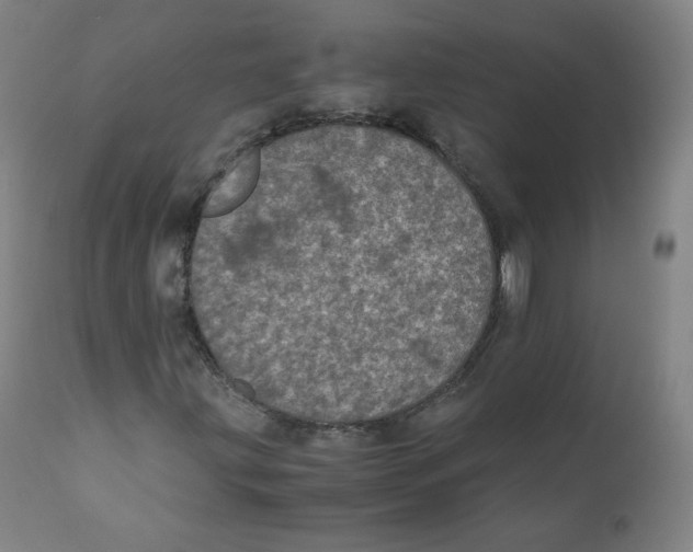 X0000110711203200907101236