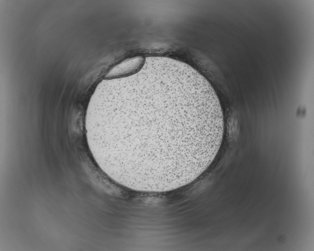 X0000110711204200907101236