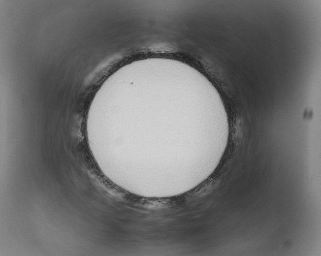 X0000110711205200907101236