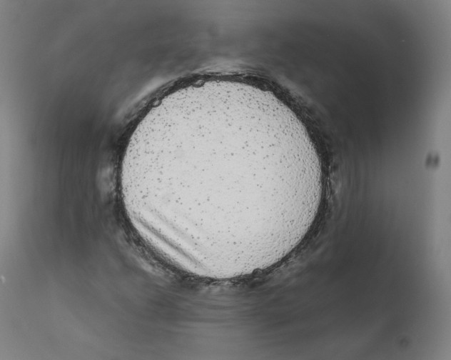 X0000110711206200907101236