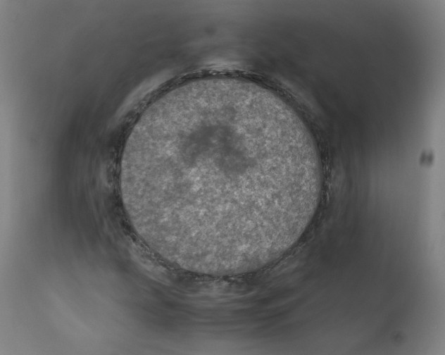 X0000110711207200907101236