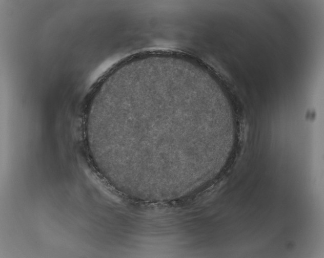 X0000110711208200907101236