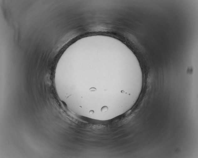 X0000110711209200907101236