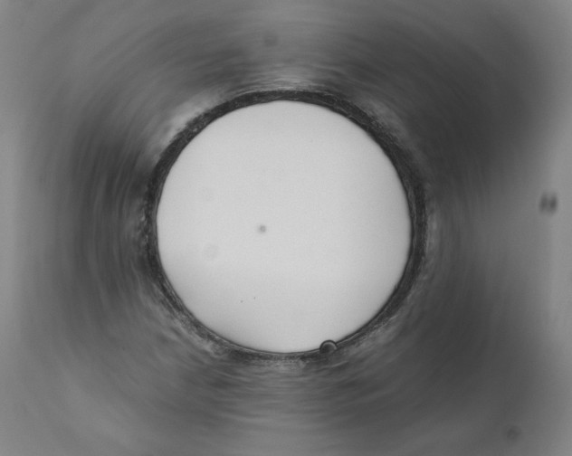 X0000110711210200907101236