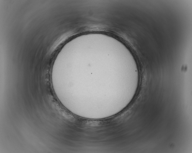 X0000110711211200907101236