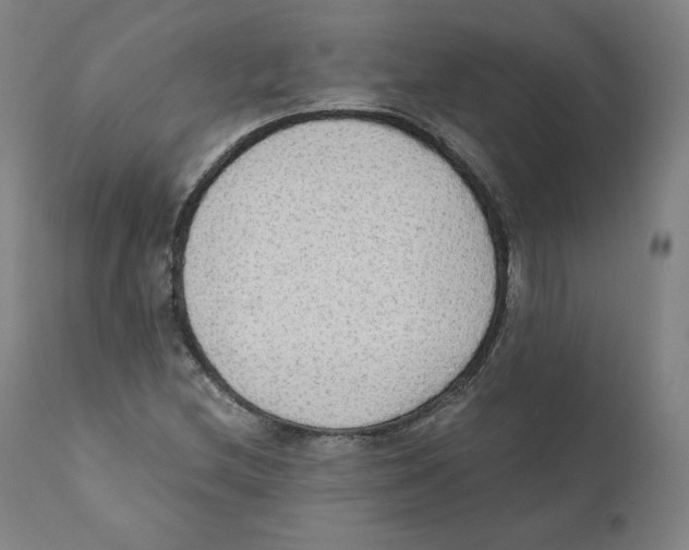 X0000110711212200907101236