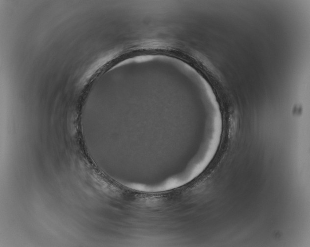 X0000110711213200907101236