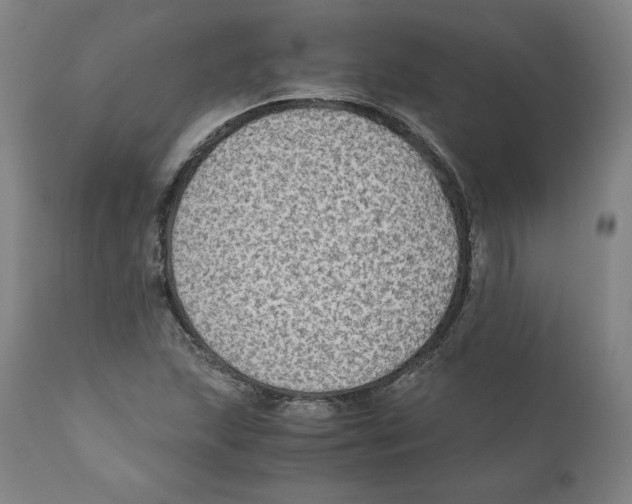 X0000110711215200907101236