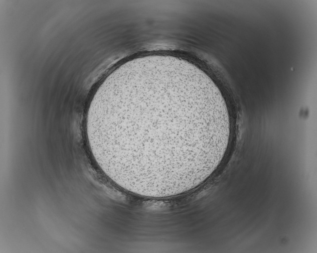 X0000110711217200907101236