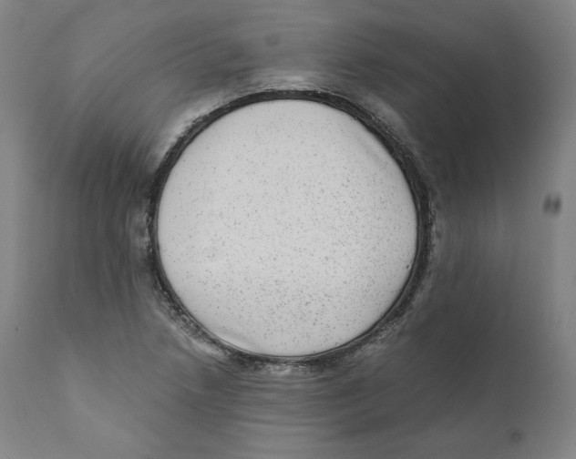 X0000110711218200907101236