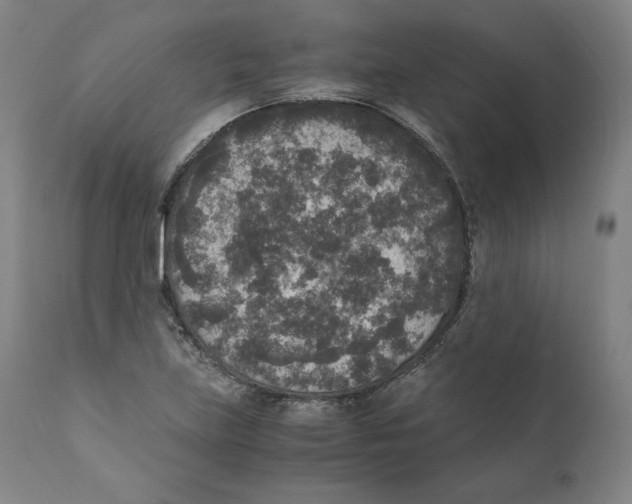 X0000110711219200907101236