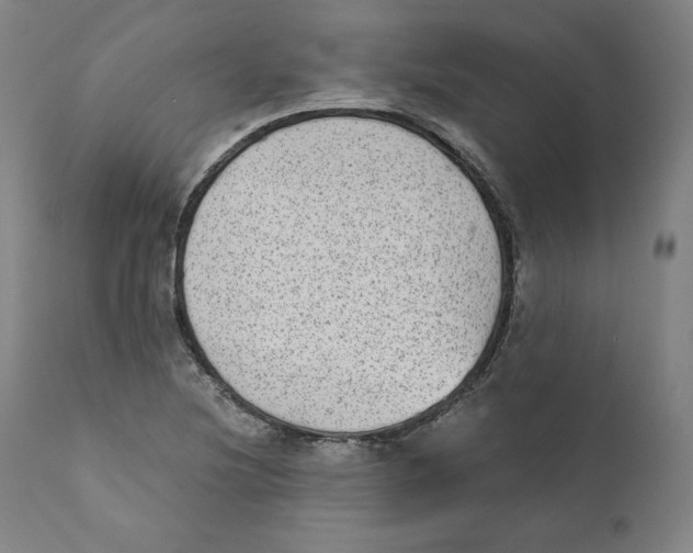 X0000110711220200907101236