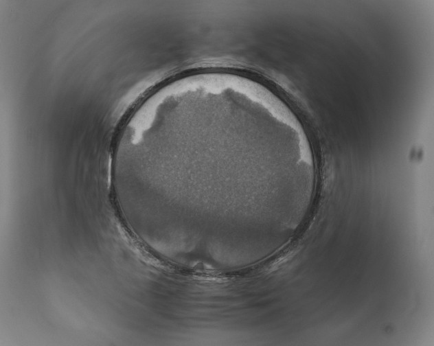 X0000110711221200907101236