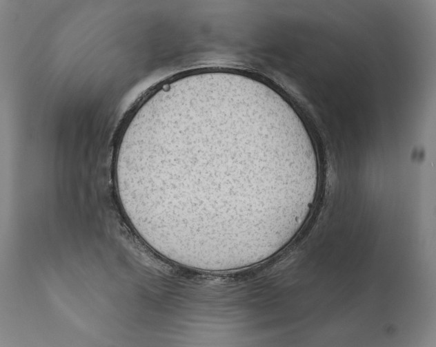 X0000110711222200907101236