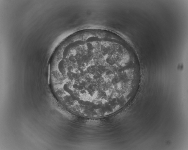 X0000110711223200907101236