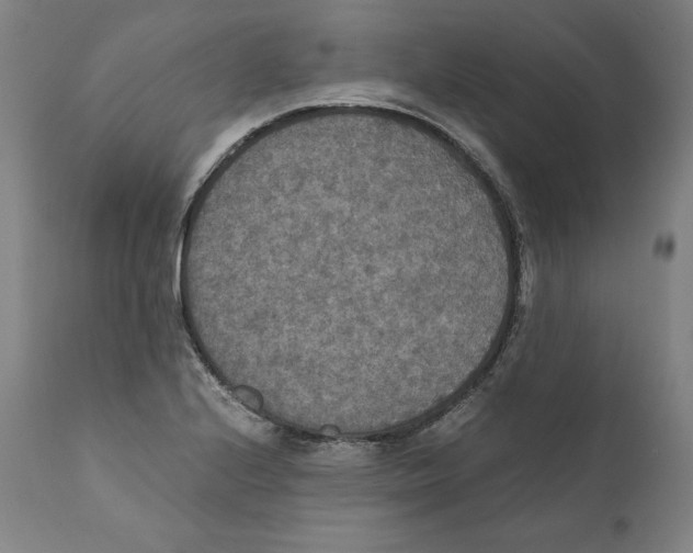 X0000110711224200907101236