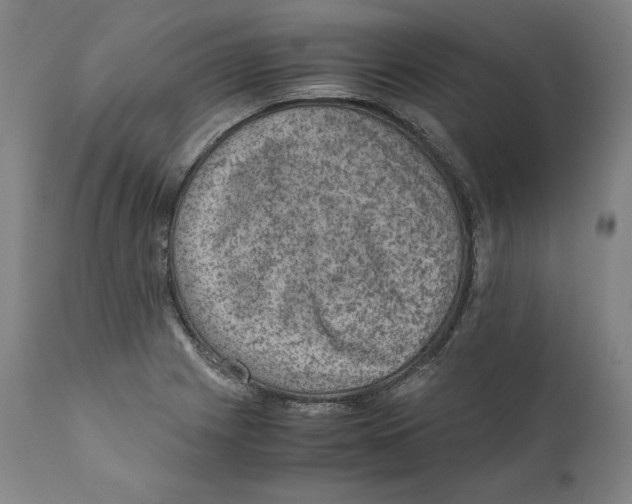 X0000110711225200907101236