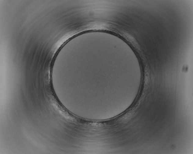 X0000110711226200907101236