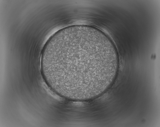 X0000110711227200907101236