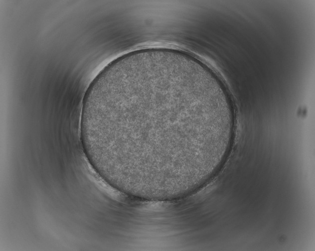 X0000110711228200907101236