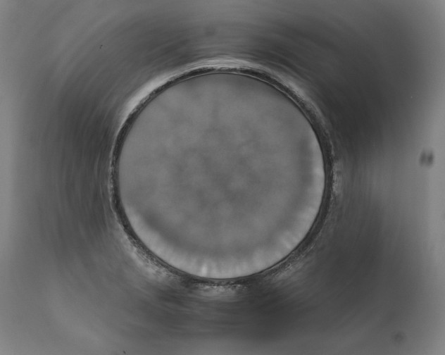 X0000110711229200907101236