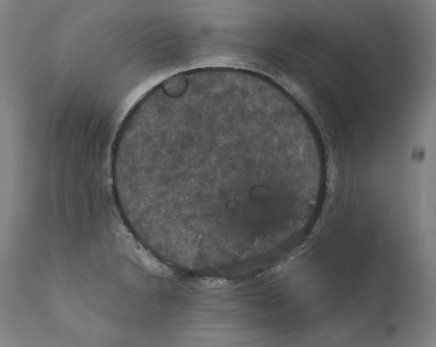 X0000110711230200907101236